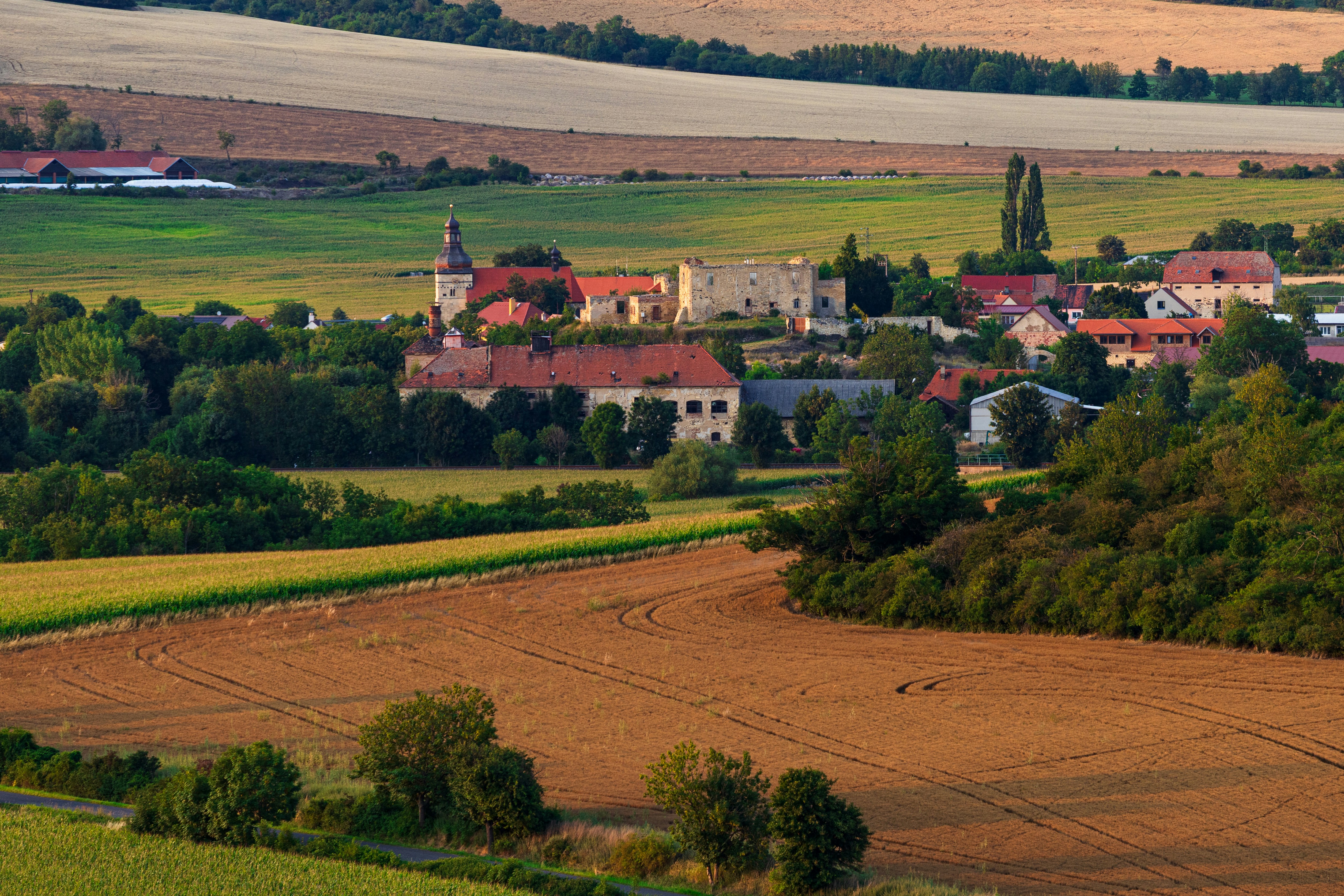 Photo by Lukas Vobecky on Unsplash